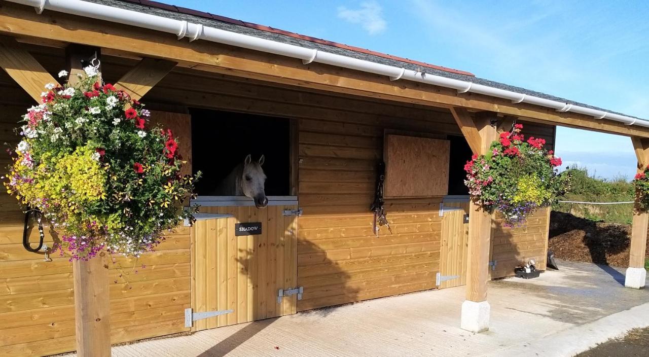 Rosebank Barn Villa Brentor Esterno foto